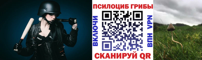 Купить где  Тарко-Сале  Псилоцибиновые грибы мицелий 